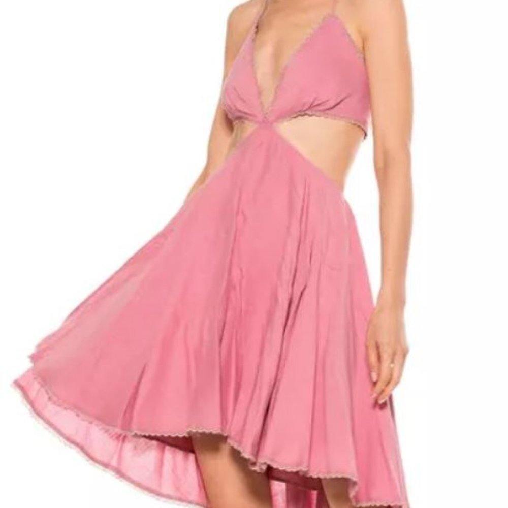 Alexia Admor Ali Pink Fit And Flare Size Size 10 NWT